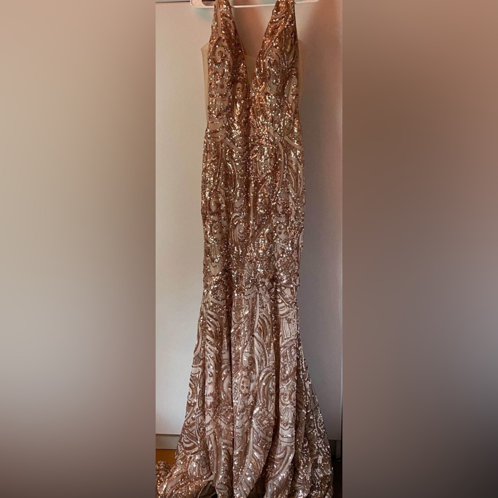 Rose Gold/ Champagne gown/dress